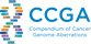Compendium of Cancer Genome Aberrations